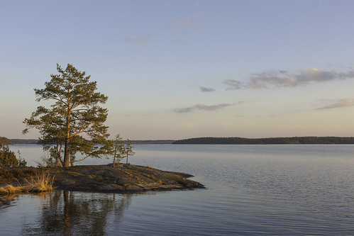 sunset lake water pine canon finland 5d lappeenranta 2470