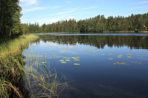 bluesky reflections waterplants lakeside finland