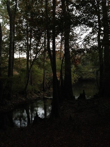 florida santaferiver highsprings mermaidsprings