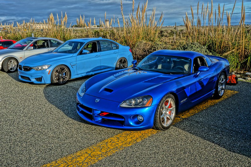 Two Blue Beasts