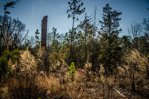 school abandoned ruins unitedstates southcarolina fairfieldcounty jenkinsville