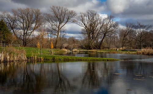 pond localpark