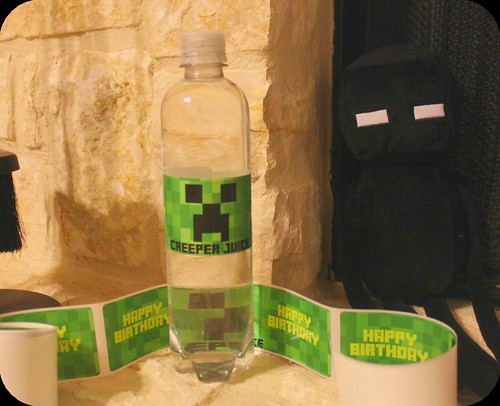 iCustomLabel Minecraft Personalized Water Bottle Labels Review