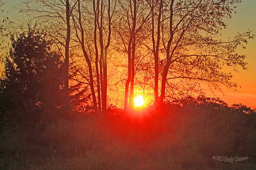 trees sunset red sky sun canada yellow bc britishcolumbia surreybc truesurrey