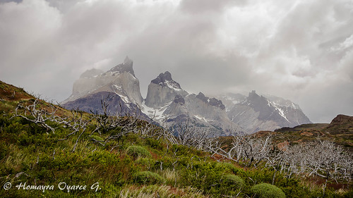 chile patagonia paisajes naturaleza sur belleza paine magallanes surdechile parquenacionaltorresdelpaine loscuernos regióndemagallanesylaantárticachilena