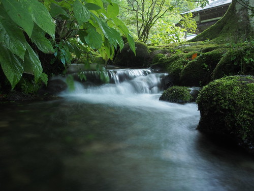 leica japan stream f14 olympus nikko summilux tochigi omd 25mm tamozawa imperialvilla em5