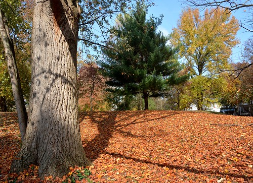 autumn fallcolor fallcolors quadranaoupark