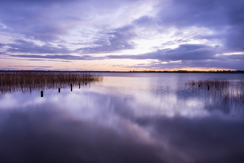 morning ireland winter light sky lake reflection nature water clouds sunrise reflections reeds lough ennell