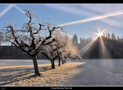 trees winter sky sun nature canon landscape eos schweiz switzerland frost thun lonelyplanet sunrays nationalgeographic dlsr 600d fantasticnature cantonberne thebeautyofnature