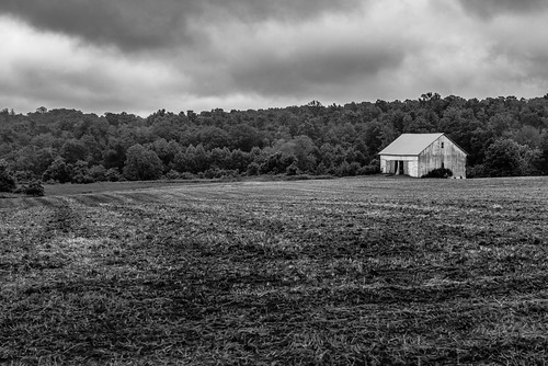 trees bw usa texture barn landscape blackwhite spring nikon unitedstates outdoor pennsylvania farm country farmland explore lancaster lancastercounty farmlife pennsylvaniadutchcountry