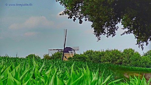 webshots travel europe netherlands holland dutch view nederland views you sony cybershot hx9v nature sun tourists cycle vakantie fietsvakantie cycling holiday bike bicycle fietsen soestereng mill molen eng windmolen soest windmill