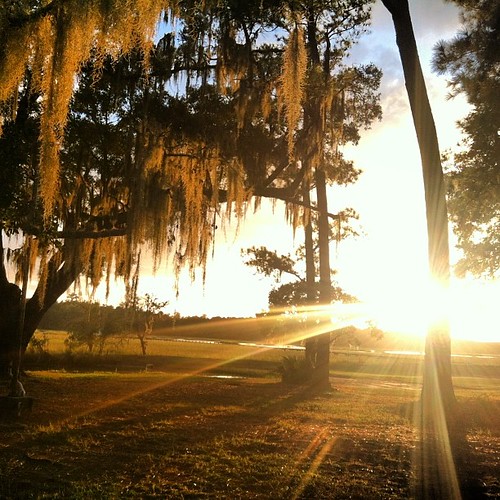 sunset square outdoors southcarolina charleston squareformat johnsisland iphoneography instagramapp uploaded:by=instagram foursquare:venue=4e626747a80951b3187d142d
