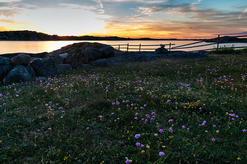 sunset sea summer fence sweden sverige hav bohuslän solnedgång västkusten fjällbacka västragötalandslän veddö långesjö