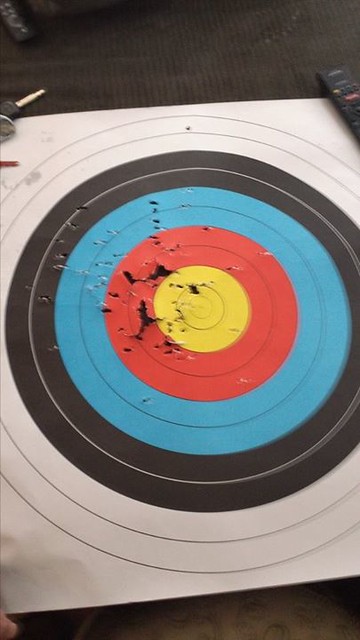 First archery target