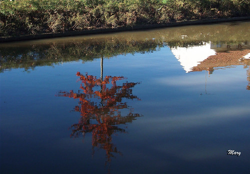 france rivière arbre reflets marybel paraylemonial saôneetloire fabuleuse labarbince