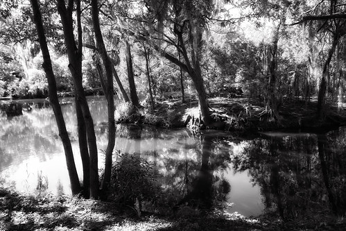 park new city trees bw lake reflection monochrome orleans sony nola rx100 lucymagoo lucymagooimages