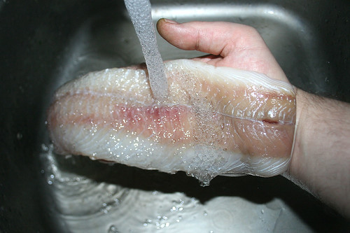 37 - Seelachs waschen / Wash coalfish