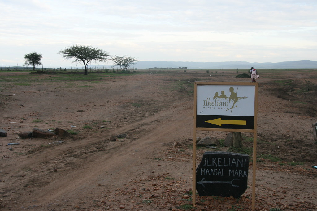 MEMORIAS DE KENIA 14 días de Safari - Blogs de Kenia - MASAI MARA III (32)