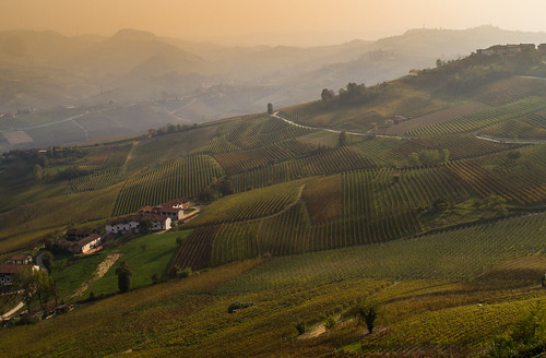 autumn italy fog italia hills piemonte vineyards autunno colline langhe