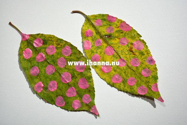 From the Pink Dotted Tree, by iHanna on www.ihanna.nu