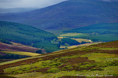road uk landscape scotland europa europe aberdeenshire carretera unitedkingdom ngc paisaje escocia reinounido luciojosemartinezgonzalez tornahaish