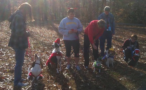 York River State Park invite you to celebrate the season with your loyal and loving dogs at Noon to 3:00 p.m. on Sunday, December 14th. 