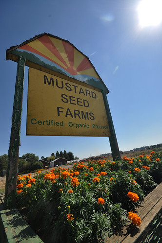 Mustard Seed Farms is USDA certified organic, which means the farm uses conservation practices – such as crop rotation, cover crops and mulching – instead of herbicides and pesticides.  Photo courtesy of NRCS.