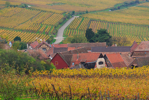 autumn house france rural vineyard village wine hills route alsace hunawihr lesplusbeauxvillagesdefrance