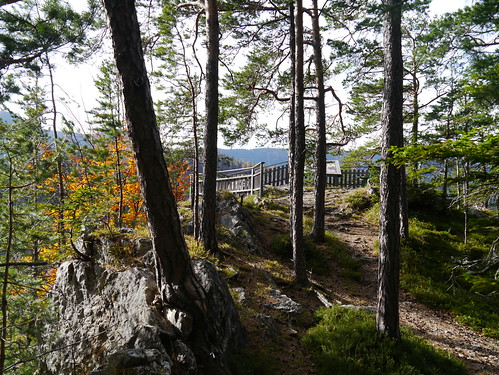 autumn trees fall forest austria österreich rocks herbst wald bäume niederösterreich autriche semmering felsen loweraustria breitenstein bahnwanderweg weinzettlwand