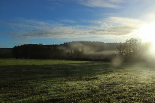 morning green oregon sunrise oakland biking pastures