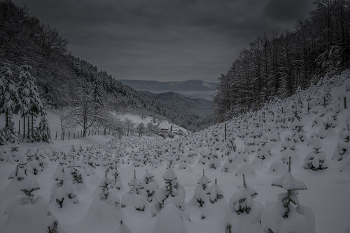 winter landscape photography photo nikon 365 schwarzwald
