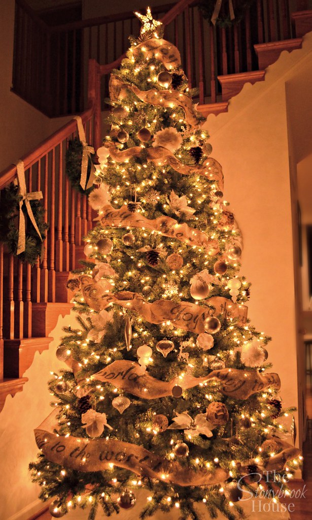 Christmas Tree Night