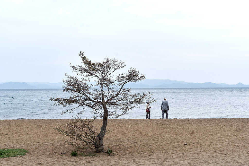 Lake Inawashiro A7II + SIG 50 ART