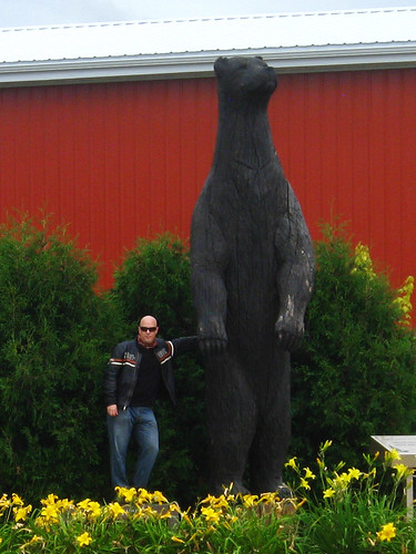 bear minnesota statue paul northome