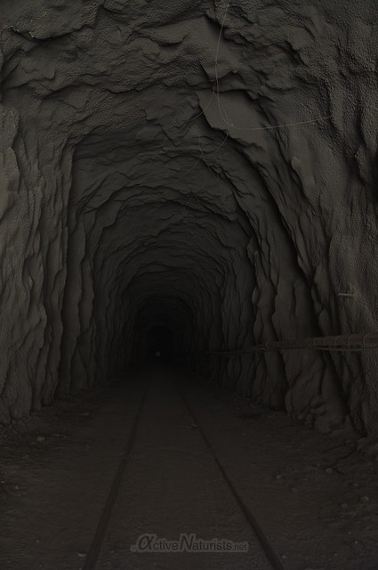 view tunnel cave 0036 DeAnza railroad trail, California, USA