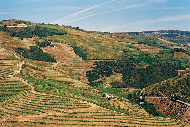Douro valley