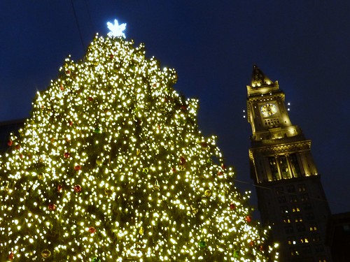 Christmas tree and Custom House clock-tower