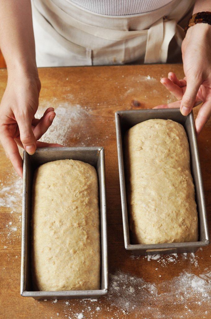 Baking Bootcamp: Whole Wheat Oatmeal Honey Bread