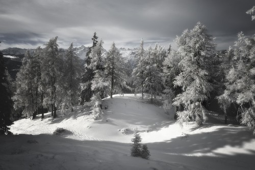 trees winter mountain snow alps montagne landscape schweiz switzerland nikon suisse arbres nikkor paysage wallis valais d800 isanybodyoutthere 2470nikkor