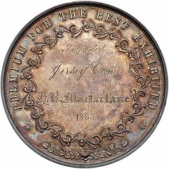 Lot 1745 Royal Hawaiian Agricultural Society Silver Medal reverse