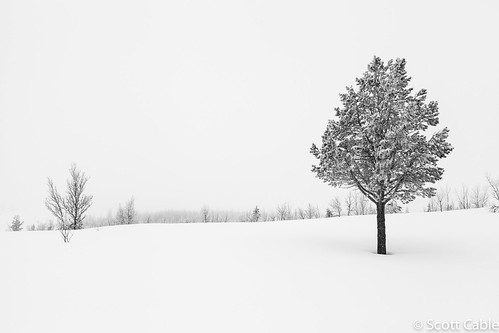 winter snow norway canon landscape venabu ef24105l eos5dmkii