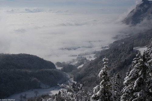 schnee winter snow ice weather fog landscape nebel jura valley landschaft tal wettter