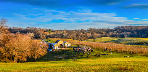 autumn fall america virginia three vineyard vines estate unitedstates wine hill winery vineyards american va fox hillside northern delaplane ilobsterit