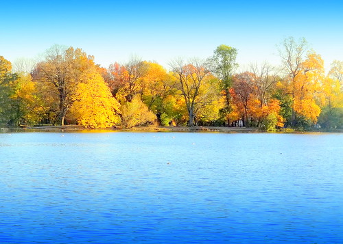 autumn newyork brooklyn image prospectpark dmitriyfomenko fall52014