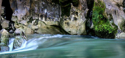 santa water river mexico maria ferns