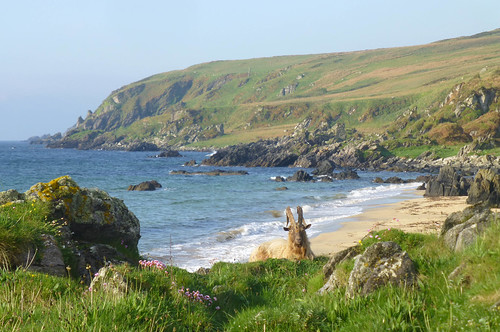 sea beach scotland rocks goat islay portellen singingsands isleofislay worldtrekker