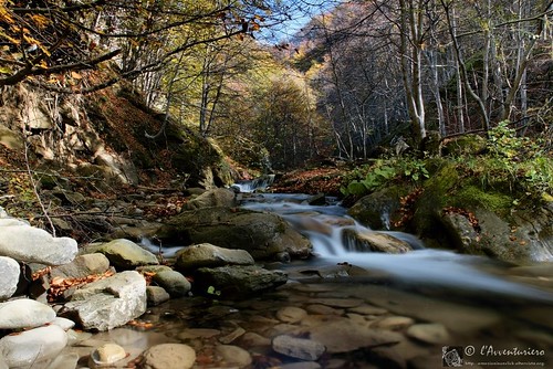 acqua autunno laga bosco torrente valloneselvagrande