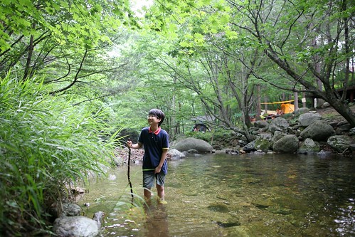 jin 가족여행 캠핑 용대자연휴양림