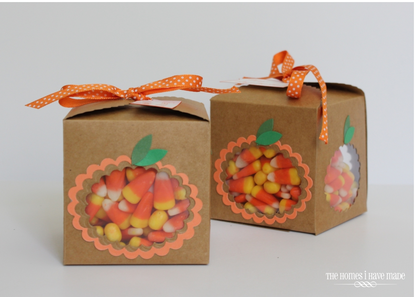 Halloween Candy Boxes-014