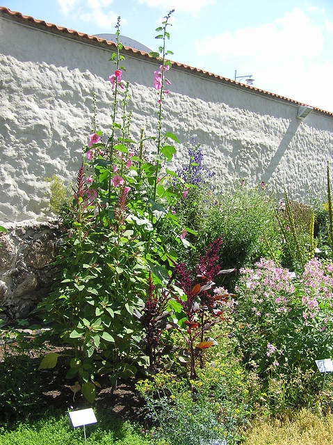 Tartu BG Herb Garden